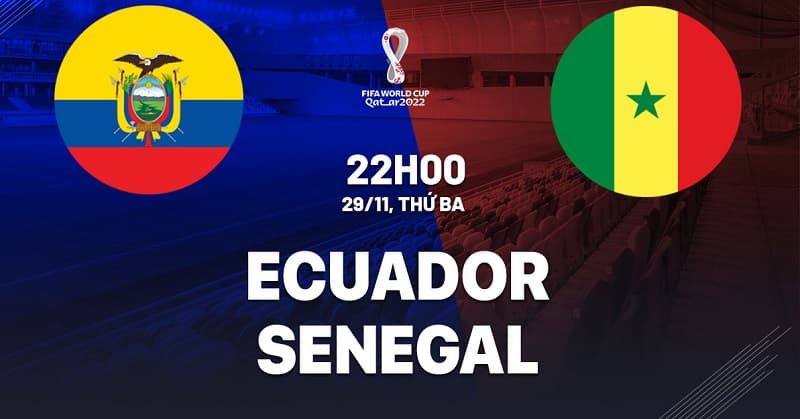 Soi kèo World Cup 2022: Ecuador vs Senegal